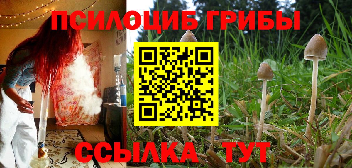 Галлюциногенные грибы Magic Shrooms Екатеринбург