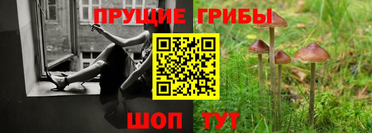 Галлюциногенные грибы мицелий  Вход с VPN  Псилоцибиновые грибы Cubensis  Екатеринбург 